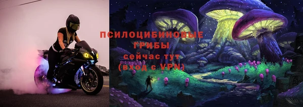 гидра Алексеевка