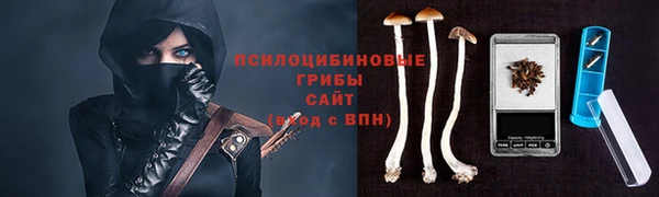 мяу мяу мука Алзамай