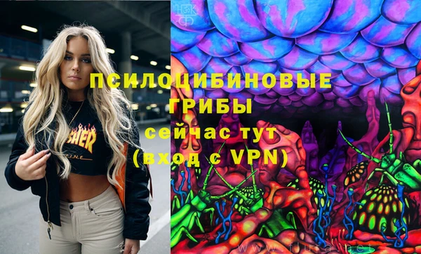 мяу мяу мука Алзамай
