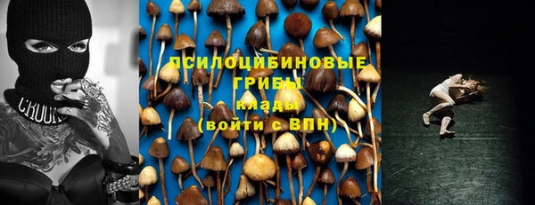 гидра Алексеевка