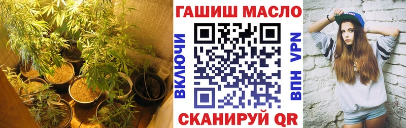Дистиллят ТГК Wax  Стародуб 