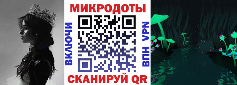 где купить   kraken сайт  Галлюциногенные грибы Psilocybe  Стародуб 